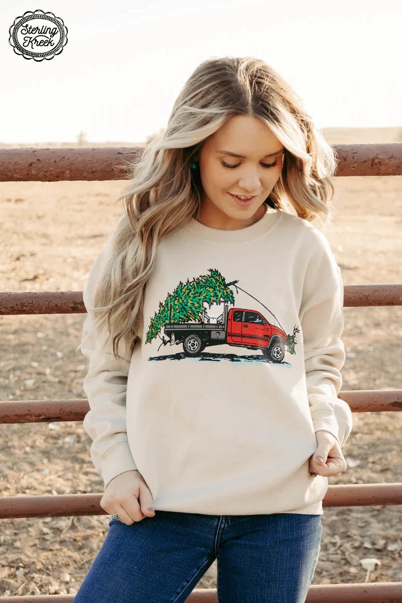 PLUS Cake Wagon Christmas Sweater*